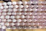 CSE694 15 inches 6*9mm rice selenite beads wholesale