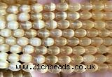 CSE734 15 inches 6*9mm rice selenite beads wholesale
