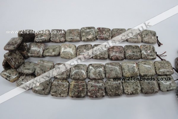 CSF06 15.5 inches 20*20mm square shell fossil jasper beads