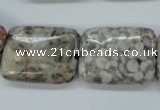 CSF09 15.5 inches 18*25mm rectangle shell fossil jasper beads