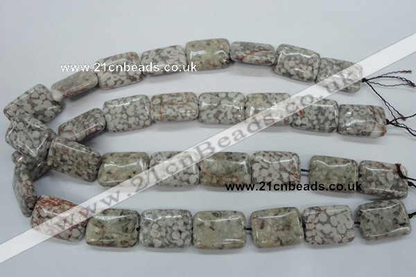 CSF09 15.5 inches 18*25mm rectangle shell fossil jasper beads