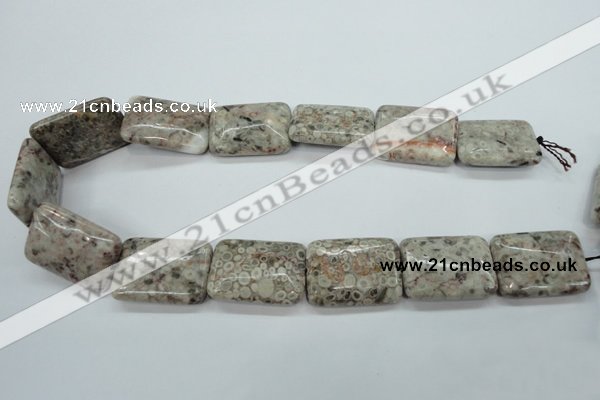 CSF10 15.5 inches 22*30mm rectangle shell fossil jasper beads