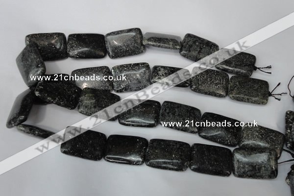 CSI117 15.5 inches 22*30mm rectangle silver scale stone beads