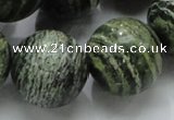 CSJ10 15.5 inches 22mm round green silver line jasper beads wholesale