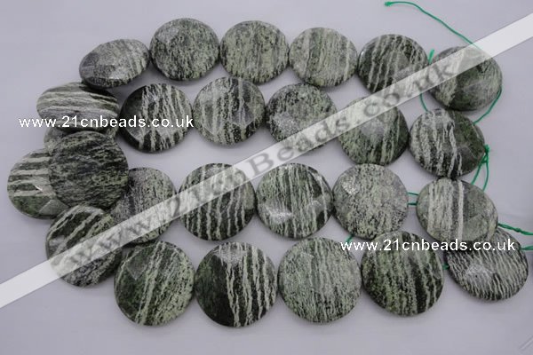 CSJ123 15.5 inches 30mm faceted coin green silver line jasper beads