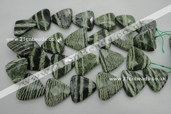 CSJ130 15.5 inches 30*30mm faceted triangle green silver line jasper beads