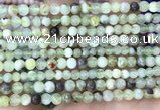 CSJ300 15.5 inches 4mm round serpentine new jade beads wholesale