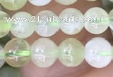 CSJ310 15.5 inches 5mm round serpentine new jade beads