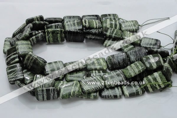 CSJ38 15.5 inches 18*25mm rectangle green silver line jasper beads