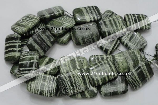 CSJ40 15.5 inches 30*40mm rectangle green silver line jasper beads