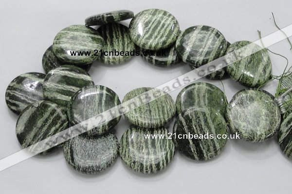 CSJ48 15.5 inches 40mm flat round green silver line jasper beads