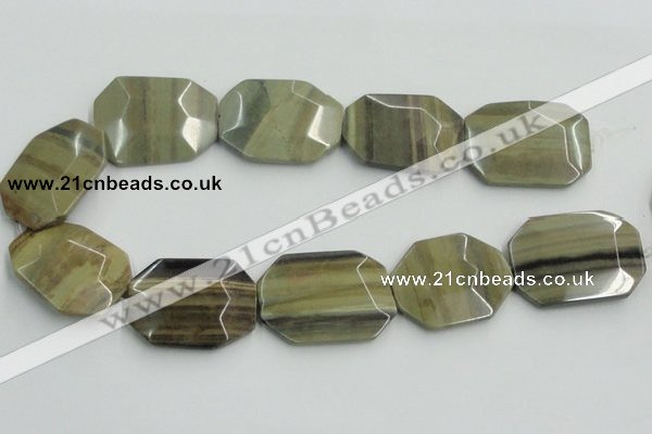 CSL08 15.5 inches 30*40mm octagonal silver leaf jasper beads wholesale