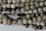 CSL10 15.5 inches 4mm round silver leaf jasper beads wholesale