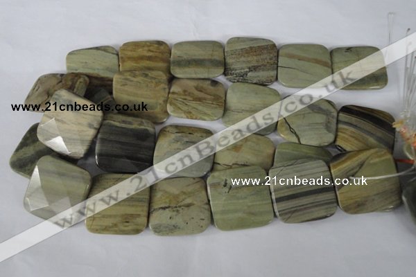 CSL122 15.5 inches 30*30mm faceted square silver leaf jasper beads