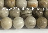 CSL151 15.5 inches 6mm round 

sliver leaf jasper beads wholesale