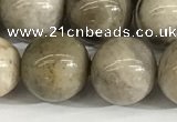 CSL154 15.5 inches 12mm round 

sliver leaf jasper beads wholesale