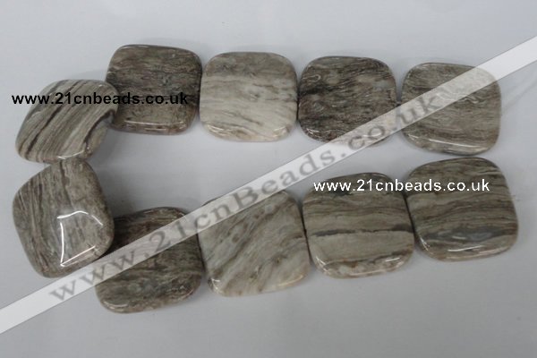 CSL59 15.5 inches 40*40mm square silver leaf jasper beads wholesale