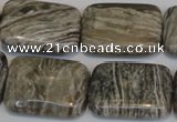 CSL70 15.5 inches 18*25mm rectangle silver leaf jasper beads wholesale