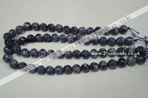 CSO304 15.5 inches 12mm faceted round Brazilian sodalite beads