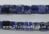 CSO351 15.5 inches 8*8mm cube natural sodalite gemstone beads