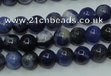 CSO60 15.5 inches 4mm round sodalite gemstone beads wholesale