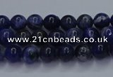 CSO610 15.5 inches 4mm round sodalite gemstone beads wholesale