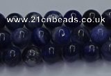 CSO611 15.5 inches 6mm round sodalite gemstone beads wholesale