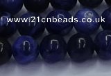 CSO613 15.5 inches 10mm round sodalite gemstone beads wholesale