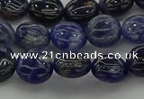 CSO670 15.5 inches 10mm flat round sodalite gemstone beads