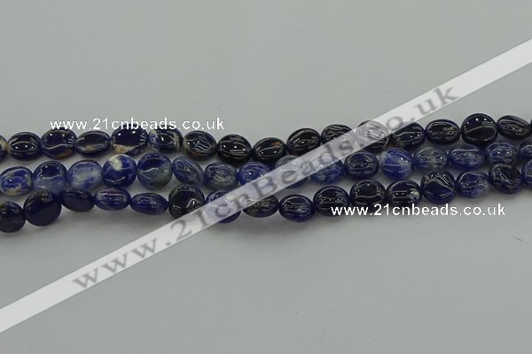 CSO670 15.5 inches 10mm flat round sodalite gemstone beads