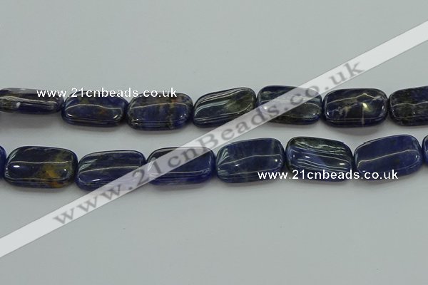 CSO700 15.5 inches 18*25mm rectangle sodalite gemstone beads