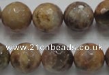 CSS100 15.5 inches 16mm faceted round natural sunstone beads wholesale