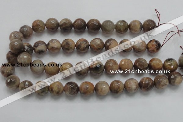 CSS100 15.5 inches 16mm faceted round natural sunstone beads wholesale