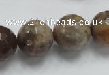 CSS101 15.5 inches 18mm faceted round natural sunstone beads wholesale