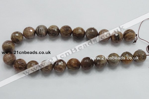 CSS101 15.5 inches 18mm faceted round natural sunstone beads wholesale