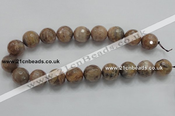 CSS102 15.5 inches 20mm faceted round natural sunstone beads wholesale