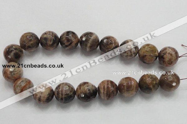 CSS103 15.5 inches 22mm faceted round natural sunstone beads wholesale