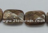 CSS114 15.5 inches 18*25mm faceted rectangle natural sunstone beads