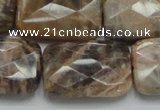 CSS115 15.5 inches 20*30mm faceted rectangle natural sunstone beads