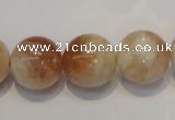 CSS20 15.5 inches 16mm round natural sunstone beads wholesale