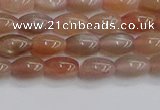 CSS265 15.5 inches 5*8mm rice sunstone beads wholesale