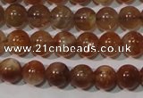 CSS551 15.5 inches 5mm round natural golden sunstone beads