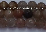 CSS642 15.5 inches 8mm faceted round sunstone gemstone beads