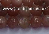 CSS663 15.5 inches 10mm round sunstone gemstone beads wholesale