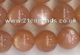 CSS709 15.5 inches 6mm round natural golden sunstone beads