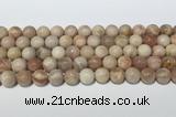 CSS782 15.5 inches 10mm round sunstone gemstone beads wholesale