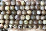 CSS863 15 inches 10mm round sunstone beads wholesale