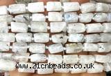 CTB1270 15 inches 6*10mm - 8*12mm faceted tube white moonstone beads