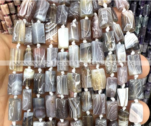 CTB1325 15 inches 6*10mm - 8*12mm faceted tube Botswana agate beads