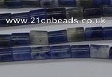 CTB306 15.5 inches 4*6mm tube sodalite beads wholesale